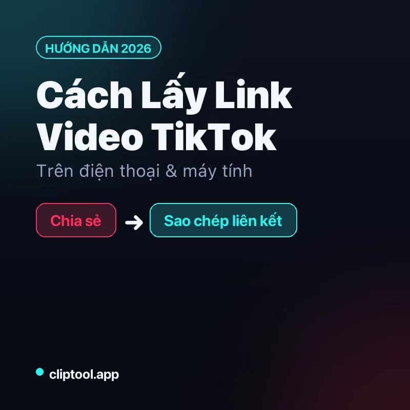Cách Lấy Link Video TikTok Trên Điện Thoại & Máy Tính [2026]
