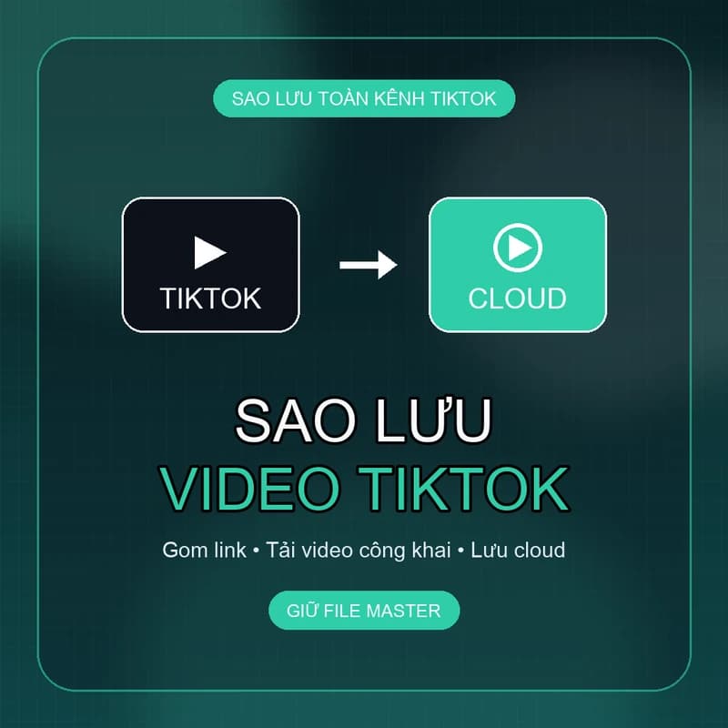 Cách Sao Lưu Toàn Bộ Video TikTok Trước Khi Mất Tài Khoản [2026]