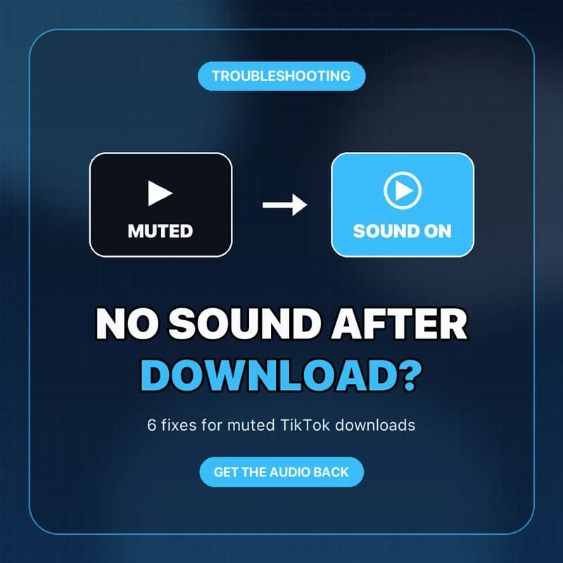 TikTok Video Has No Sound After Downloading? 6 Fixes [2026]